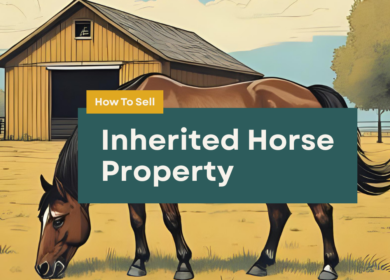 How To Sell Inherited Horse Property: Complete 6-Step Guide